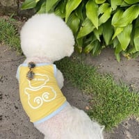 さわやかカラーキャミソール