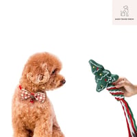 クリスマスひっぱりおもちゃ