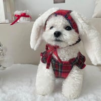 ウインターチェックドレス