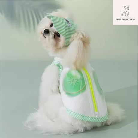 フルーツクールウェア