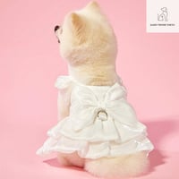 マルチカラープリンセスドレス