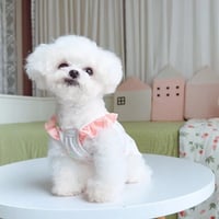 ハートクロップトップス