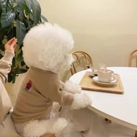 ベアデイリーニット