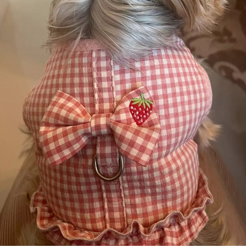 新品 CandyBuppie ギンガムチェックフリルハーネス ギンガムチェック