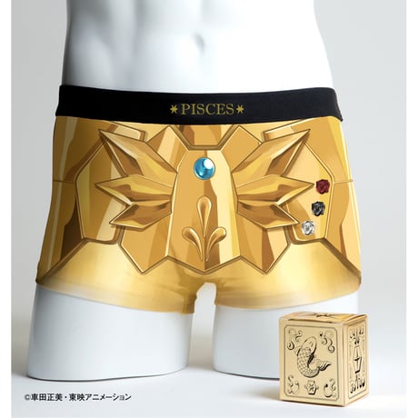 【聖闘士星矢】黄金12星座+青銅5星座コンプリートセット