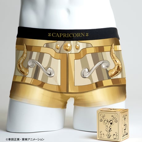 【聖闘士星矢】黄金12星座セット