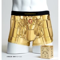 【聖闘士星矢】ジェミニパンツ