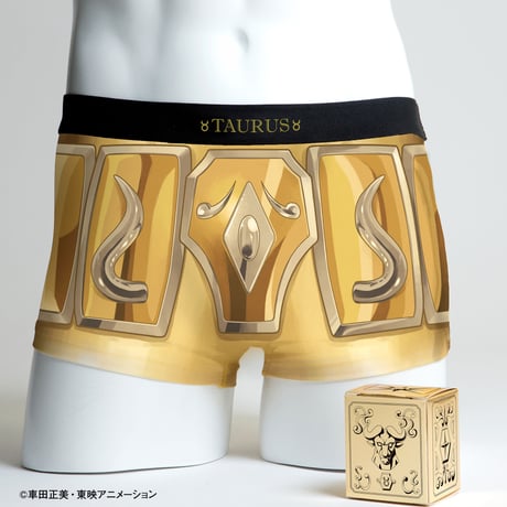 【聖闘士星矢】黄金12星座セット