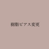 🌟パーツ変更（樹脂ピアス）