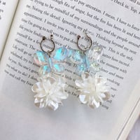 bonbon butterfly