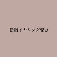 🌟パーツ変更（樹脂イヤリング）