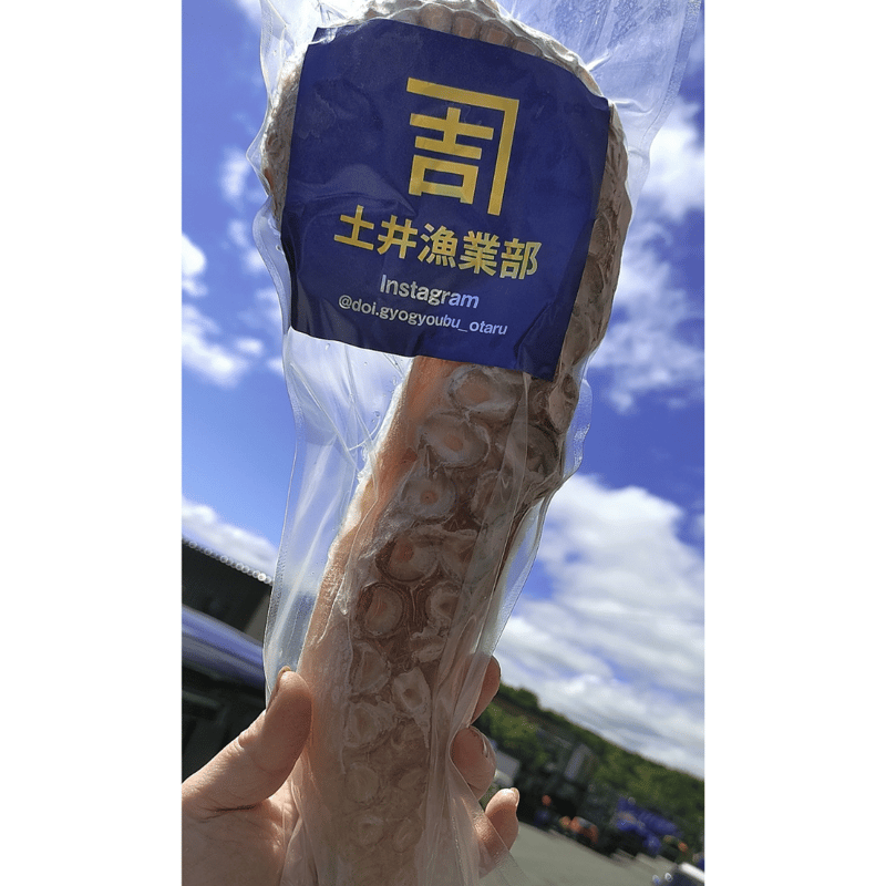 サーモン半身 タコ足２ｋ み 冷凍商品※タコ足500g(500g×1個) | 土井漁業部 | 公式オンライン