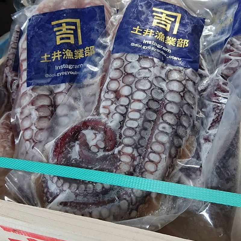 サーモン半身 タコ足２ｋ み サーモン半身 タコ足2k み様専用