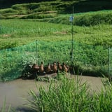 あなたの米蔵(小田又の丘 通販)
