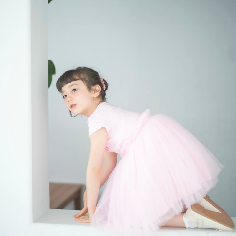 希少 ヴィンテージ Russ Little Tutu バレエ 3dフォトフレーム ballerina tutu dress | MINUIT(ミニュイ)