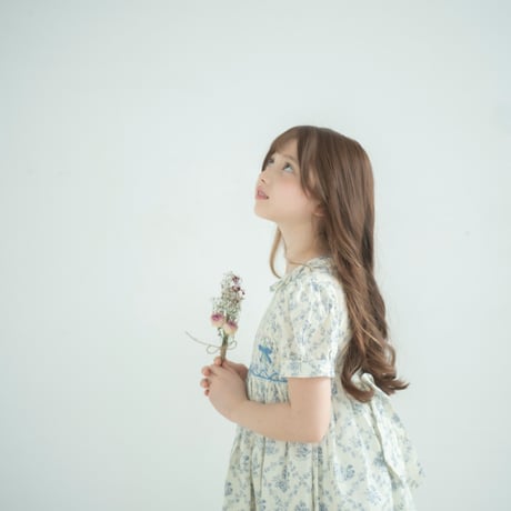 Antique Bouquet Smocking Dress