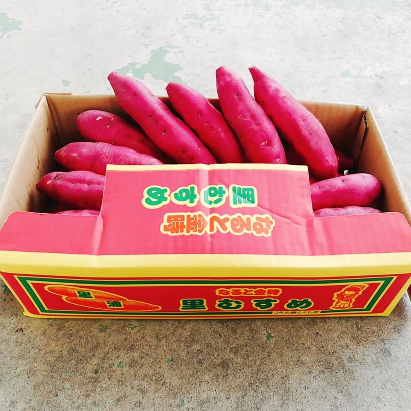 徳島鳴門産なると金時 2.5kg 最高品質 さつまいもナルト | 淡路島❀花