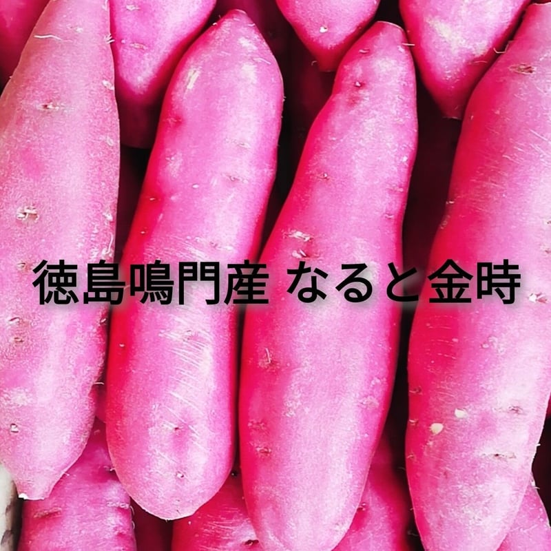 徳島鳴門産なると金時 2.5kg 最高品質 さつまいもナルト | 淡路島❀花