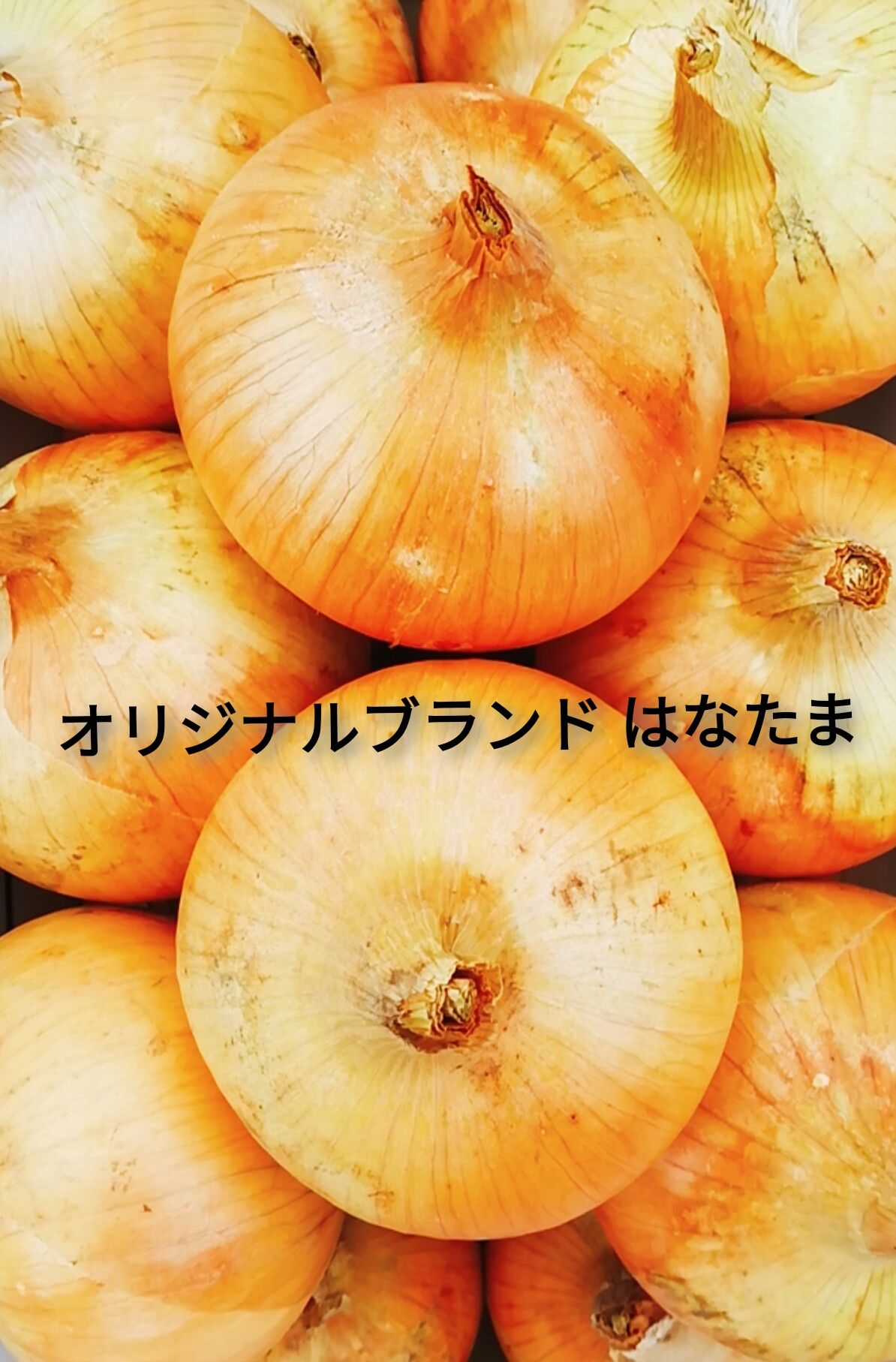 はなたま　たまねぎタマネギ玉ねぎ　送料無料　オリジナルブランド　５㎏　淡路島産玉葱　淡路島...