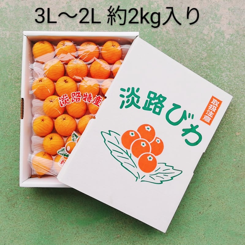 ビワの種バーム７個セット ビワの種バーム7個セット ビワの種バーム7個セット