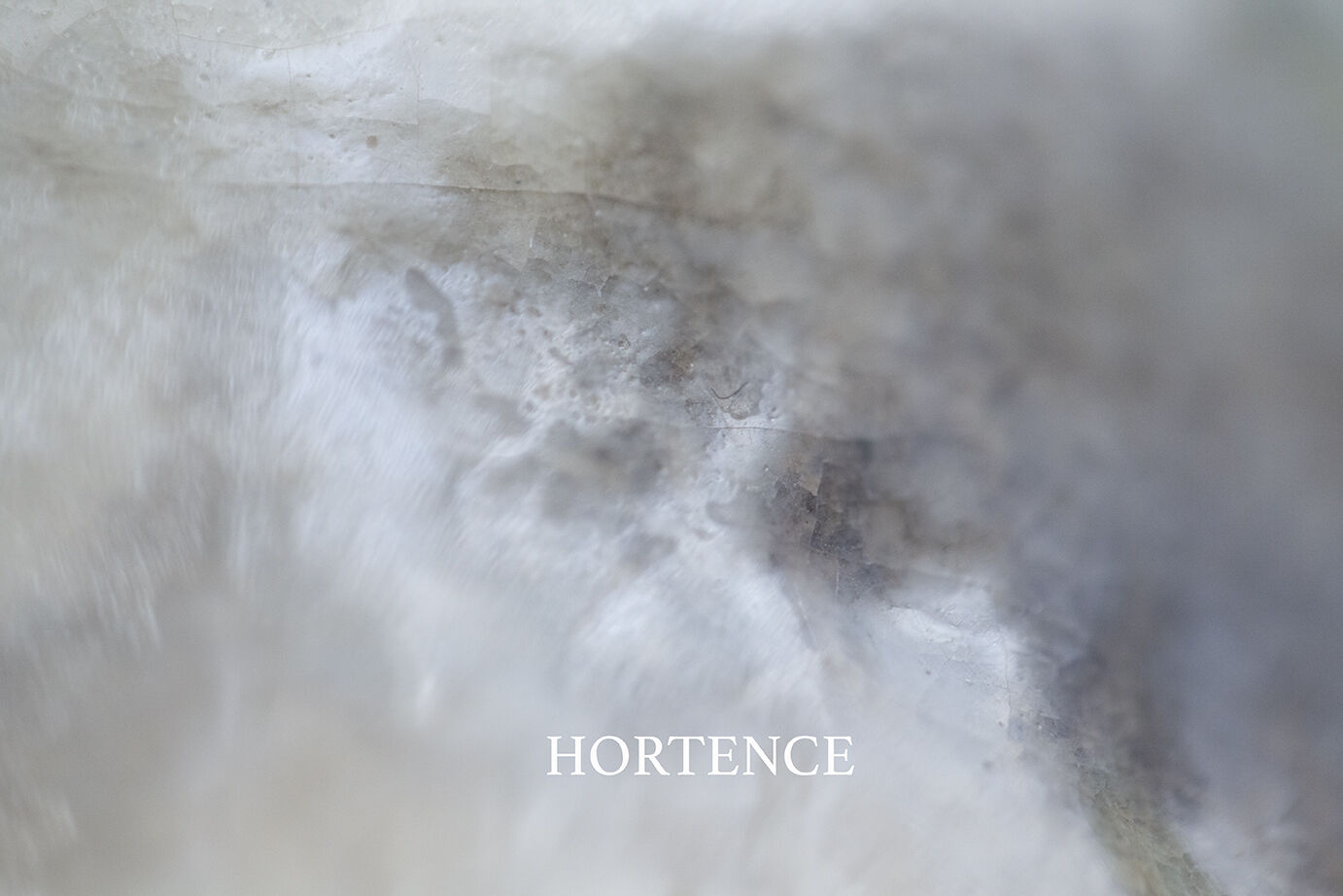 HORTENCE