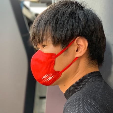 REAL RACING　オリジナル3D不織布マスク