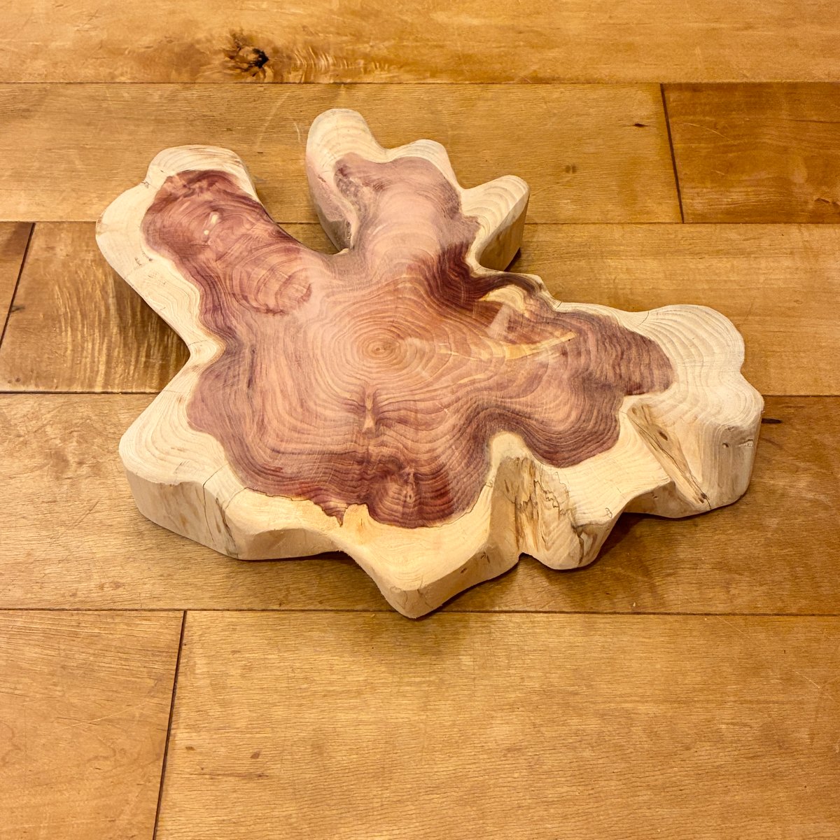 カイヅカイブキ No.1307 | Wood Factory Silky