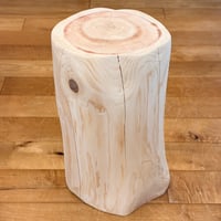 Pet Table Hinoki】 小型犬用 No.1698 | Wood Factory