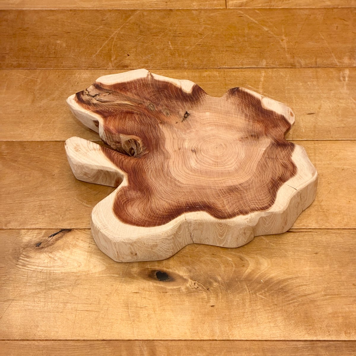 カイヅカイブキ No.1665 | Wood Factory Silky カイヅカイブキ No.1665 | Wood Factory Silky