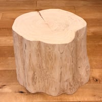貝塚伊吹希少サイズ丸太 カイヅカイブキ kaizukaibk01 | 丸萬 ｜ テーブル材・カウンター材