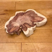 カイヅカイブキ No.1633 | Wood Factory Silky