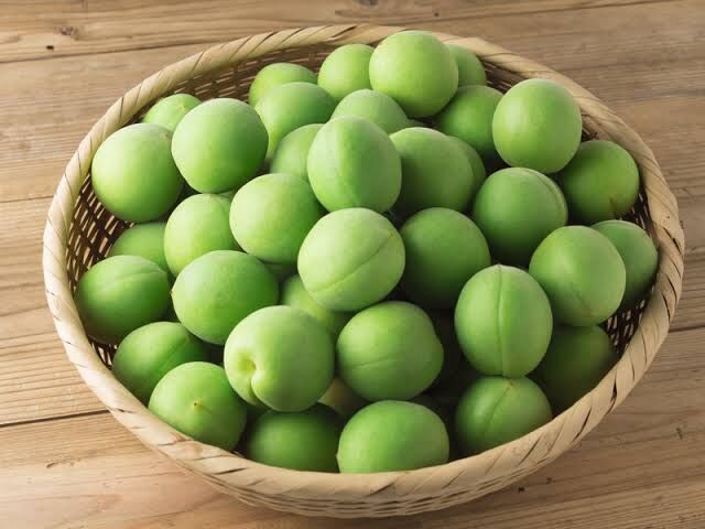 家庭用青梅】有機栽培白加賀10kg(梅酒用) | 熊代農園Online Shop