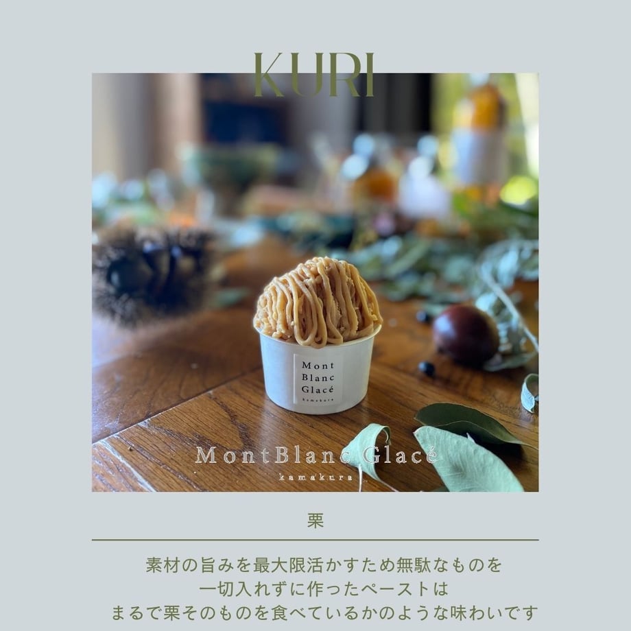 6135d048edf49f65093020b8