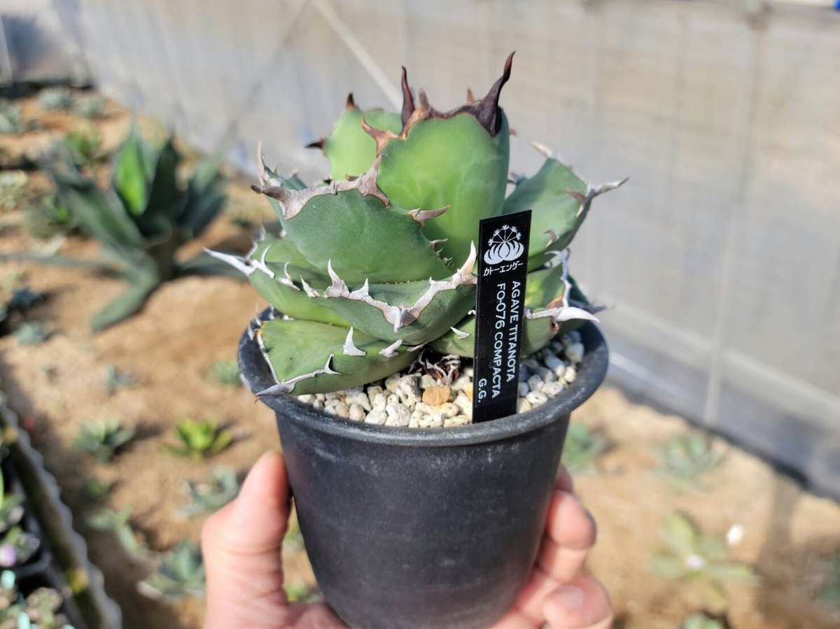 fit=scale-down,w=1200