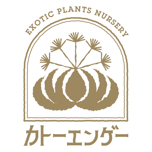 カトーエンゲー