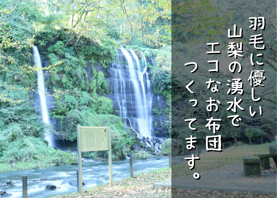 62c65b6ed8587404dd747bb3