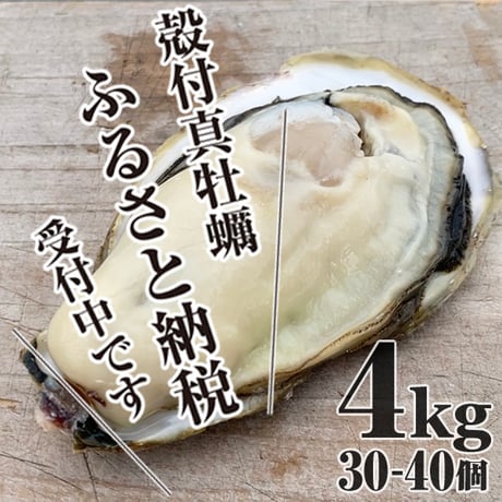 【お申込みは3月末まで】23000円→殻付真牡蠣4kg 本ページ記載の各リンクからお申込みいただけます
