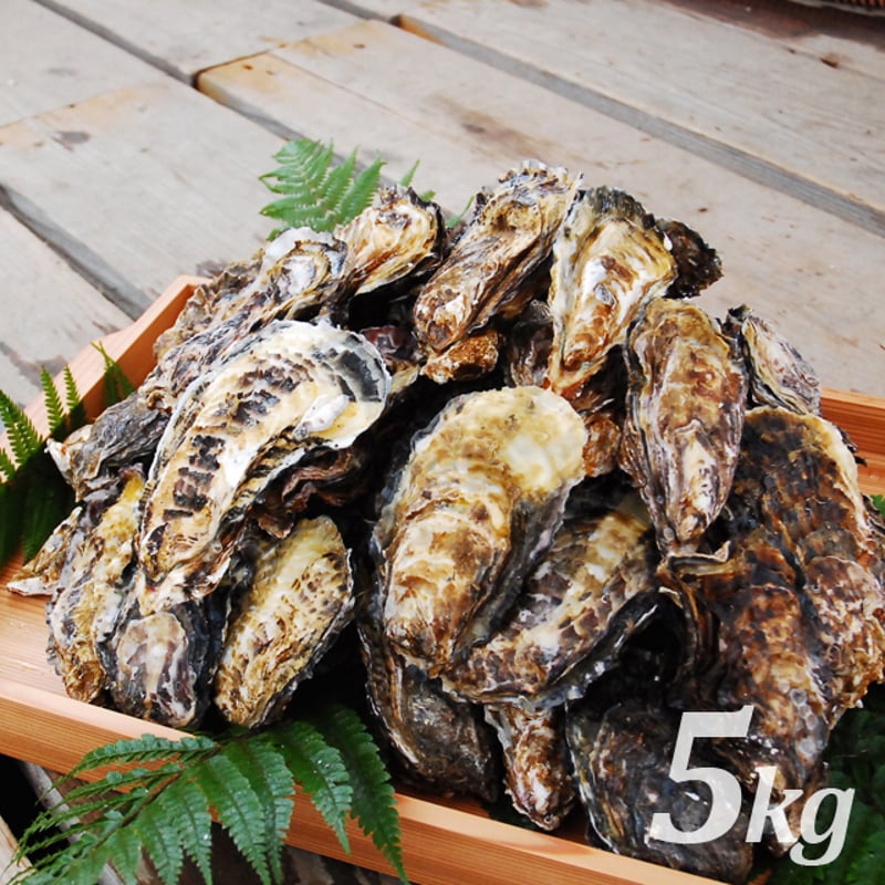 オリジナルバレンタインカード付】殻付養殖真牡蠣 5kg 加熱用 | 岡山