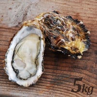 【朝どれ直送】殻付養殖真牡蠣 5kg 加熱用