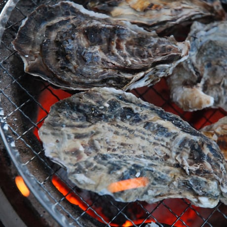 【お申込みは3月末まで】23000円→殻付真牡蠣4kg 本ページ記載の各リンクからお申込みいただけます