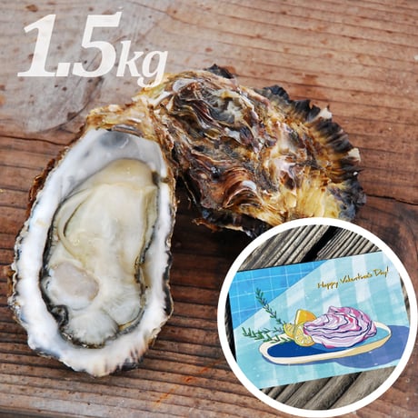 【オリジナルバレンタインカード付】殻付養殖真牡蠣1.5kg 加熱用