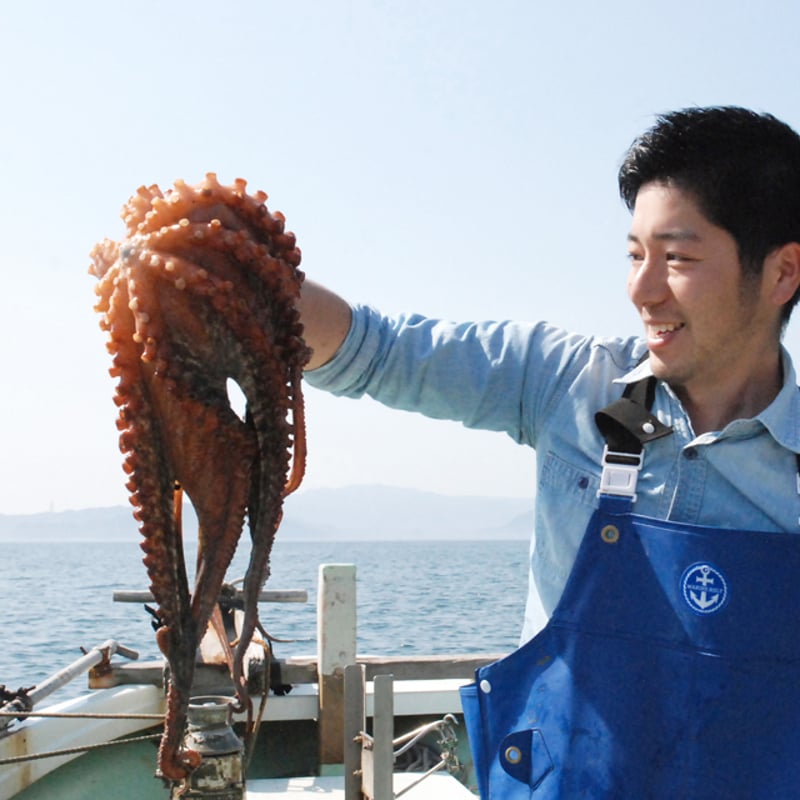 オリジナルサンクスカード付】漁師直送 京都舞鶴産 天然生真ダコ 約2kg