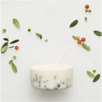 【MUNIO CANDELA】Ashberries & bilberry leaves 220ml