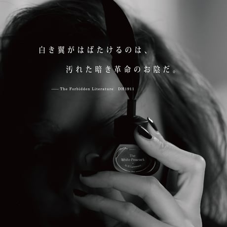 DH1911 白孔雀