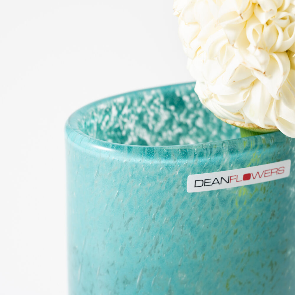 Joe カリビアン | ugo