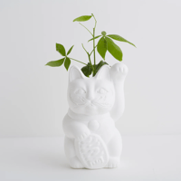 PLASTER POT / MANEKI CAT