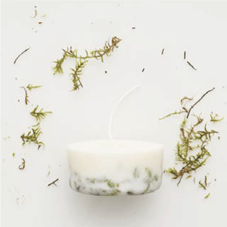 【MUNIO CANDELA】MOSS 220ml