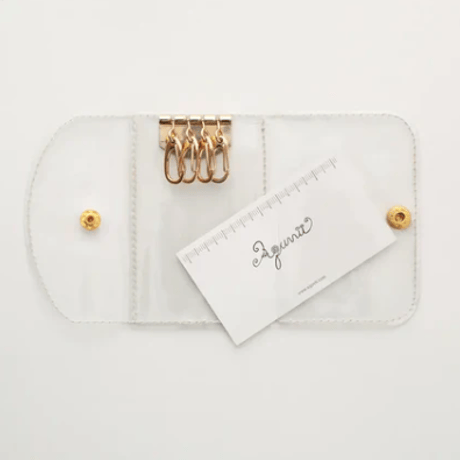 clear key case