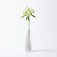 Grass S シルバー