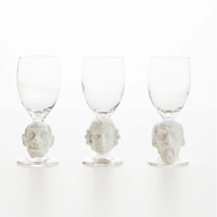face glass